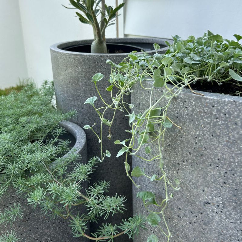 Bondi Tall Plant Pot - Grey Terrazzo