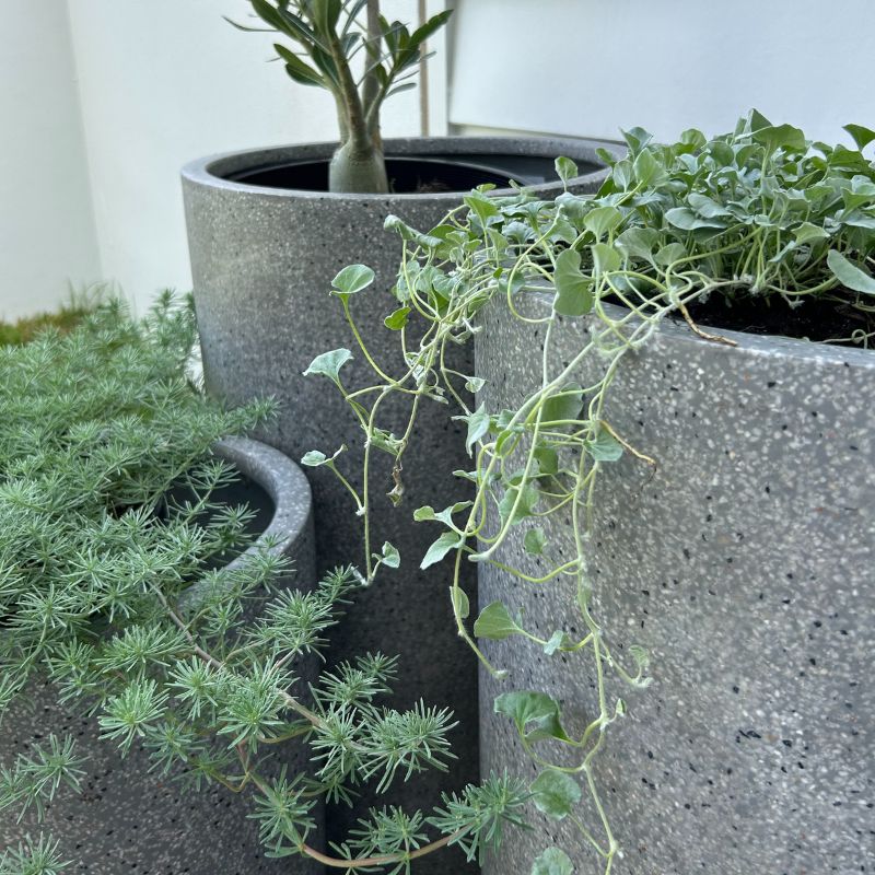 Bondi Tall Plant Pot - Grey Terrazzo