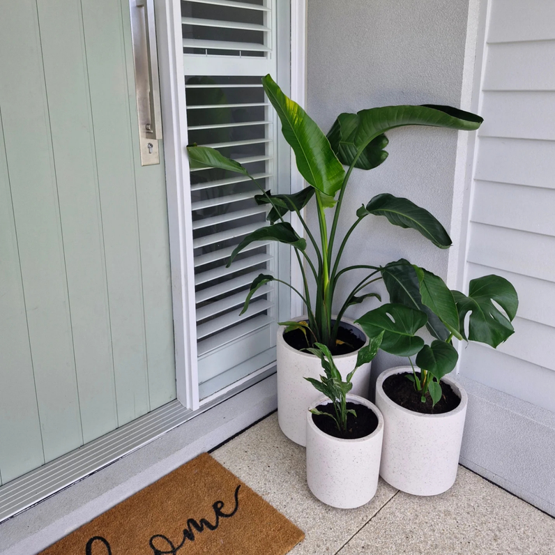 Bondi Plant Pot - White