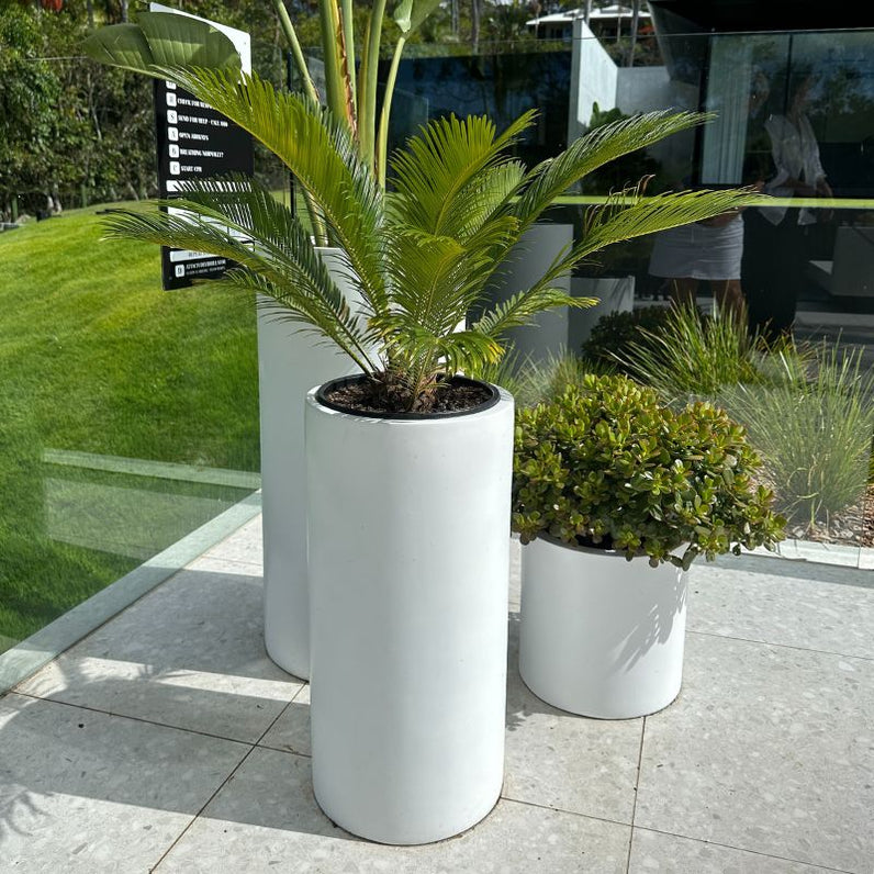 Bondi Tall Plant Pot - White
