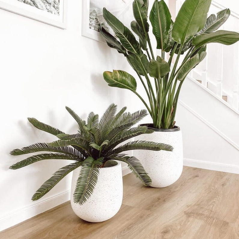 Laguna Plant Pot - White Terrazzo