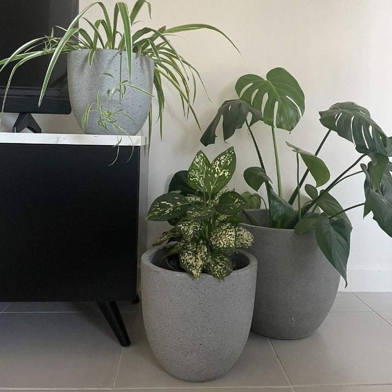Rio Plant Pot - Grey Terrazzo