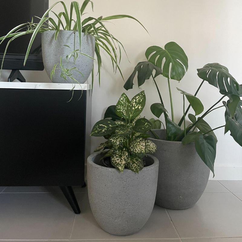 Rio Plant Pot - Grey Terrazzo