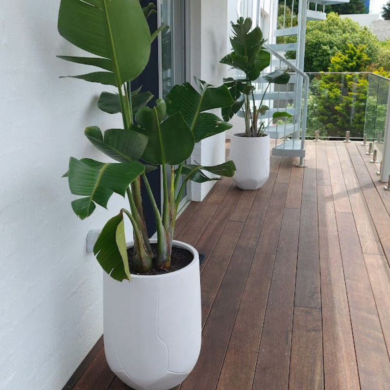Noosa Plant Pot - White