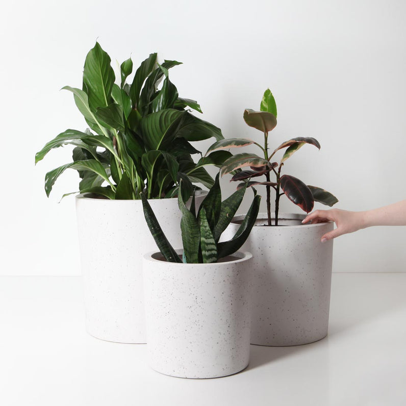 Bondi Plant Pot - White Terrazzo