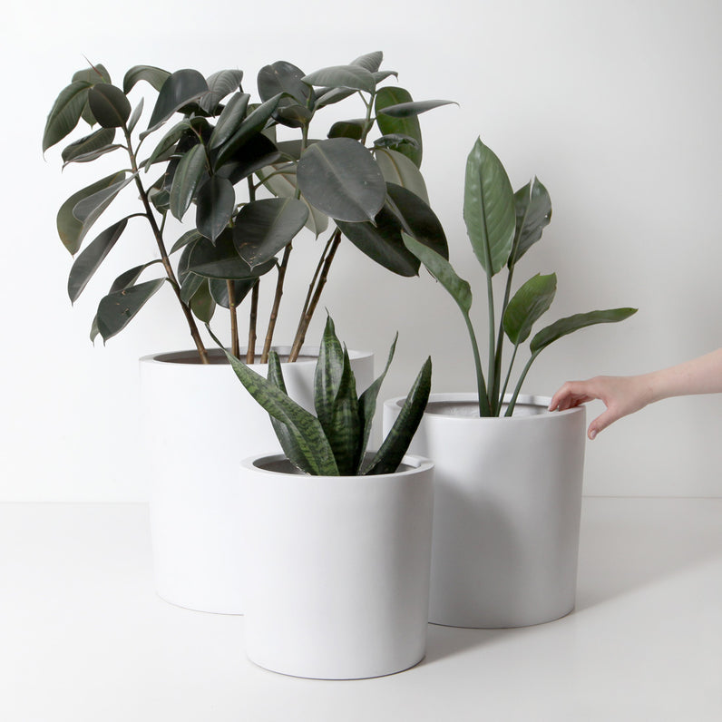 Bondi Plant Pot - White