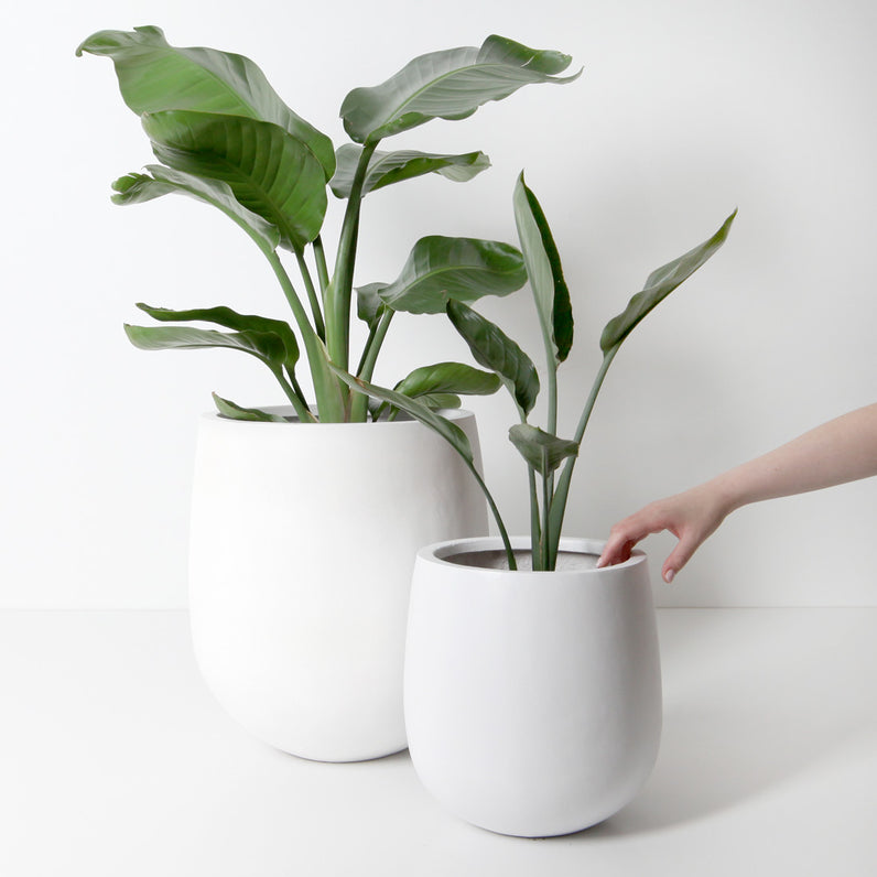 Malibu Plant Pot - White