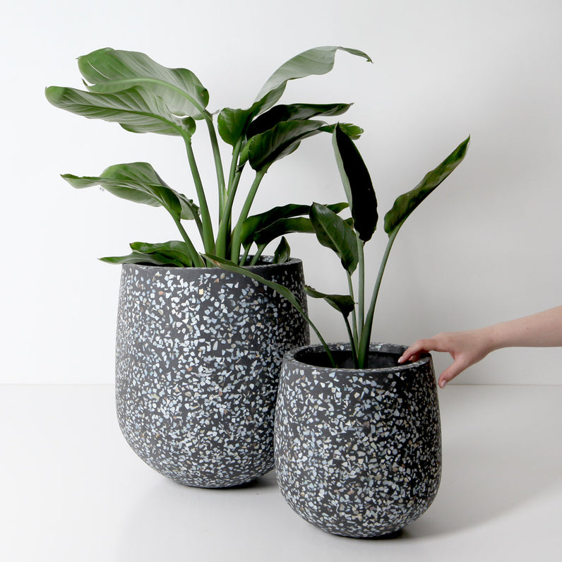 Malibu Plant Pot - Charcoal Seashell