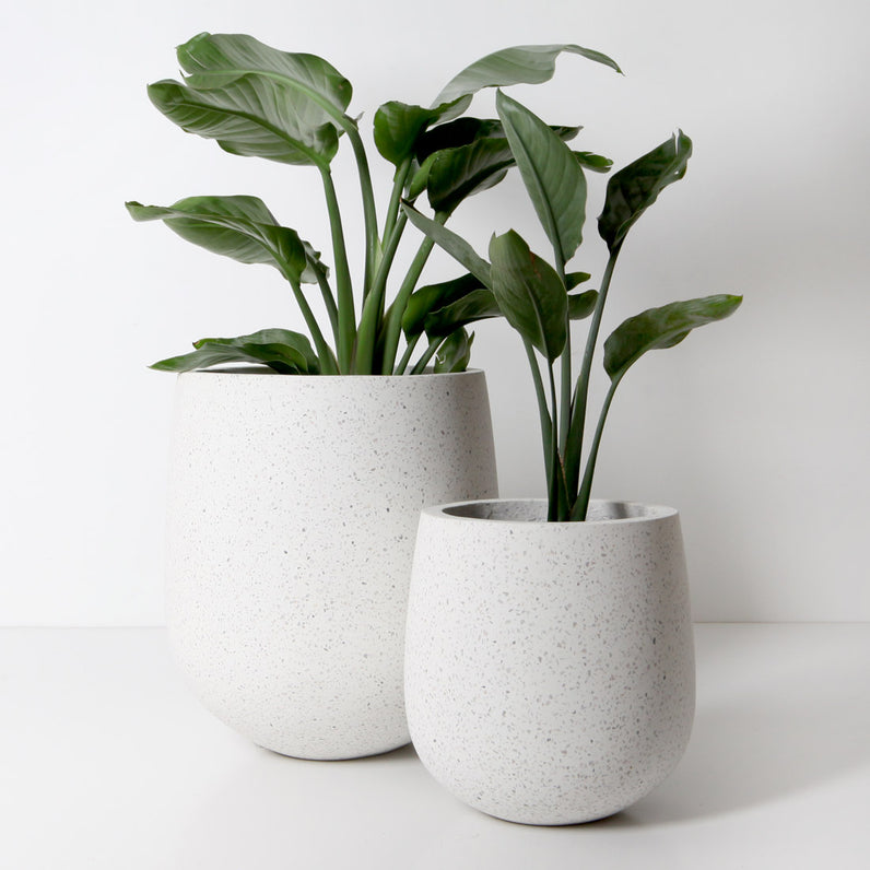 Laguna Plant Pot - White Terrazzo