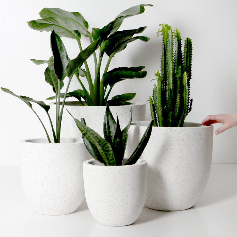 Rio Plant Pot - White Terrazzo