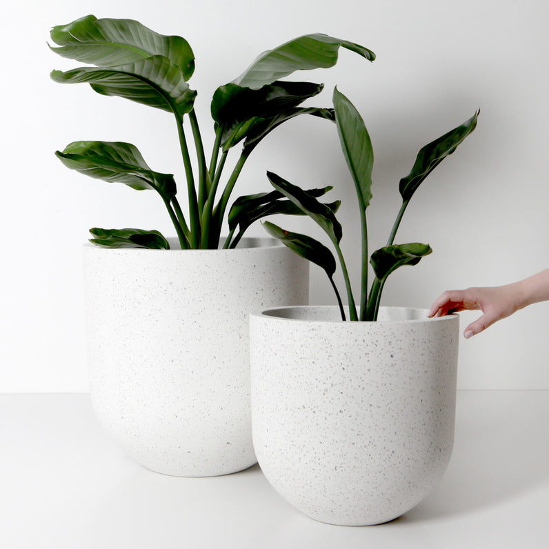 Santorini Plant Pot - White Terrazzo