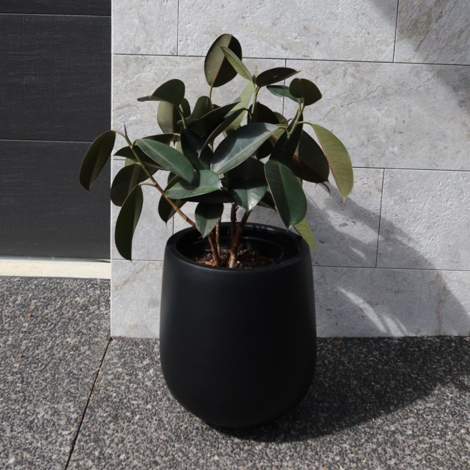 Malibu Plant Pot - Black