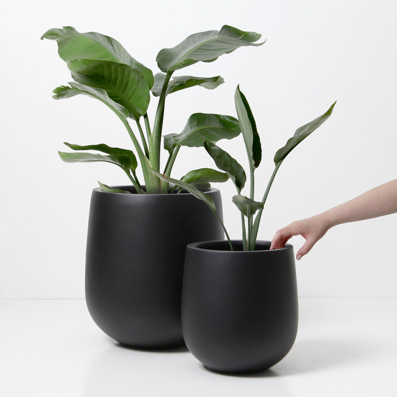 Malibu Plant Pot - Black