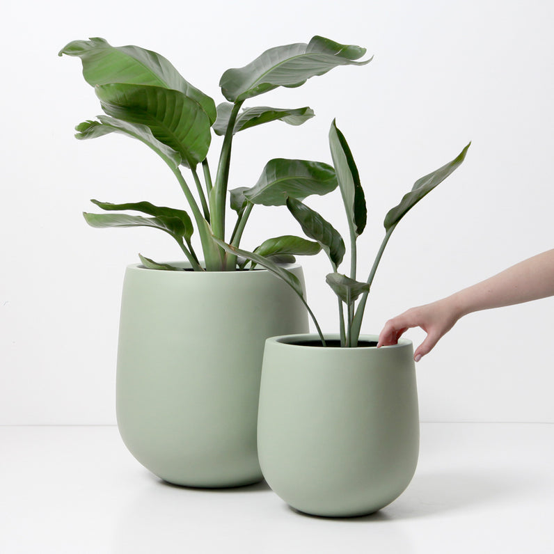 Malibu Plant Pot - Sage