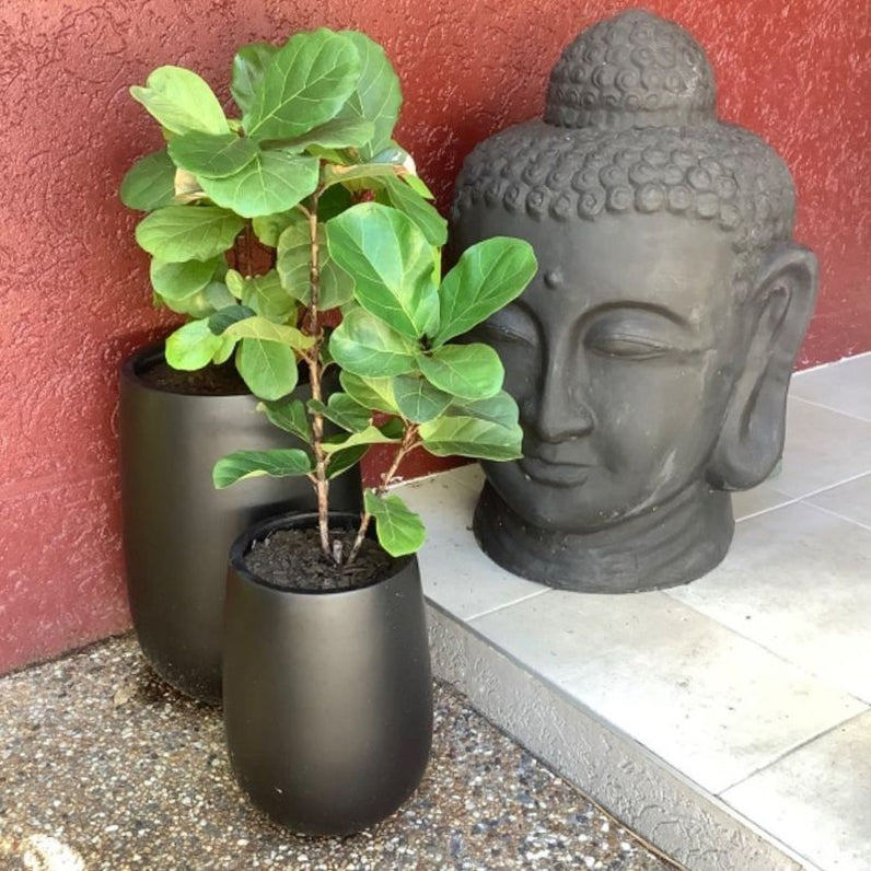 Malibu Tall Plant Pot - Black