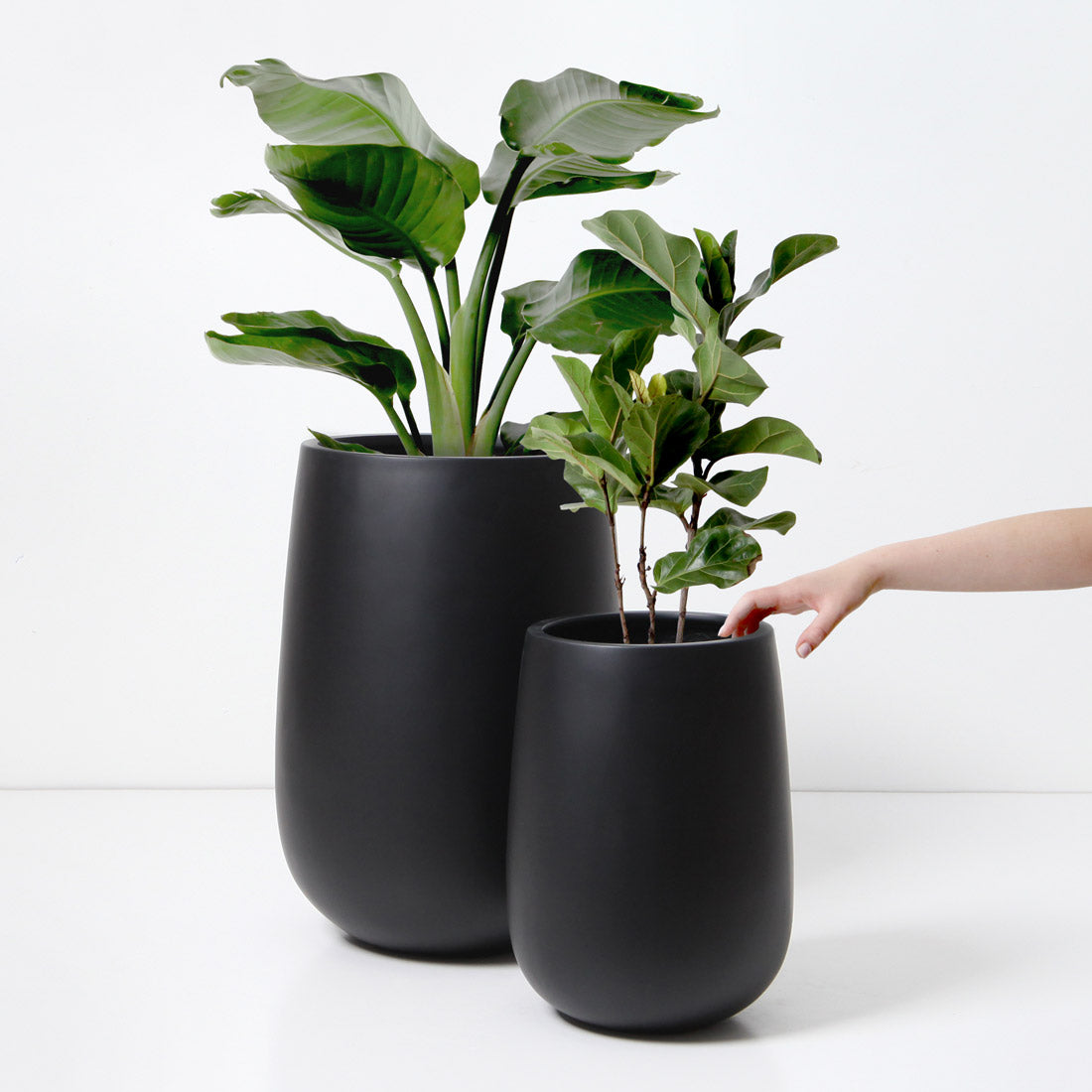 Malibu Tall Plant Pot - Black