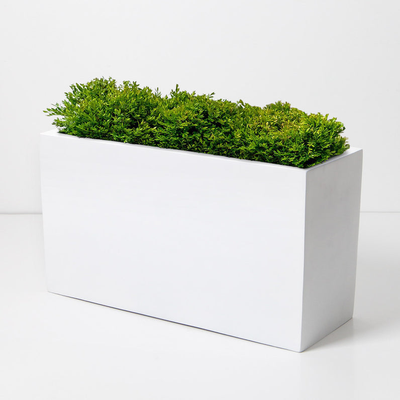 Paris Square Plant Pot - White