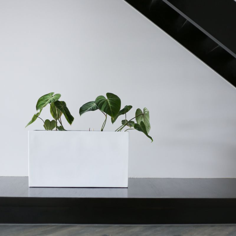 Paris Square Plant Pot - White