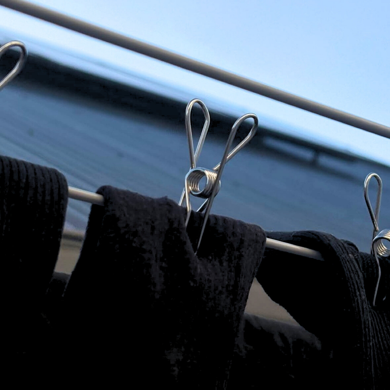 Stainless Steel Eco Pegs - Silver