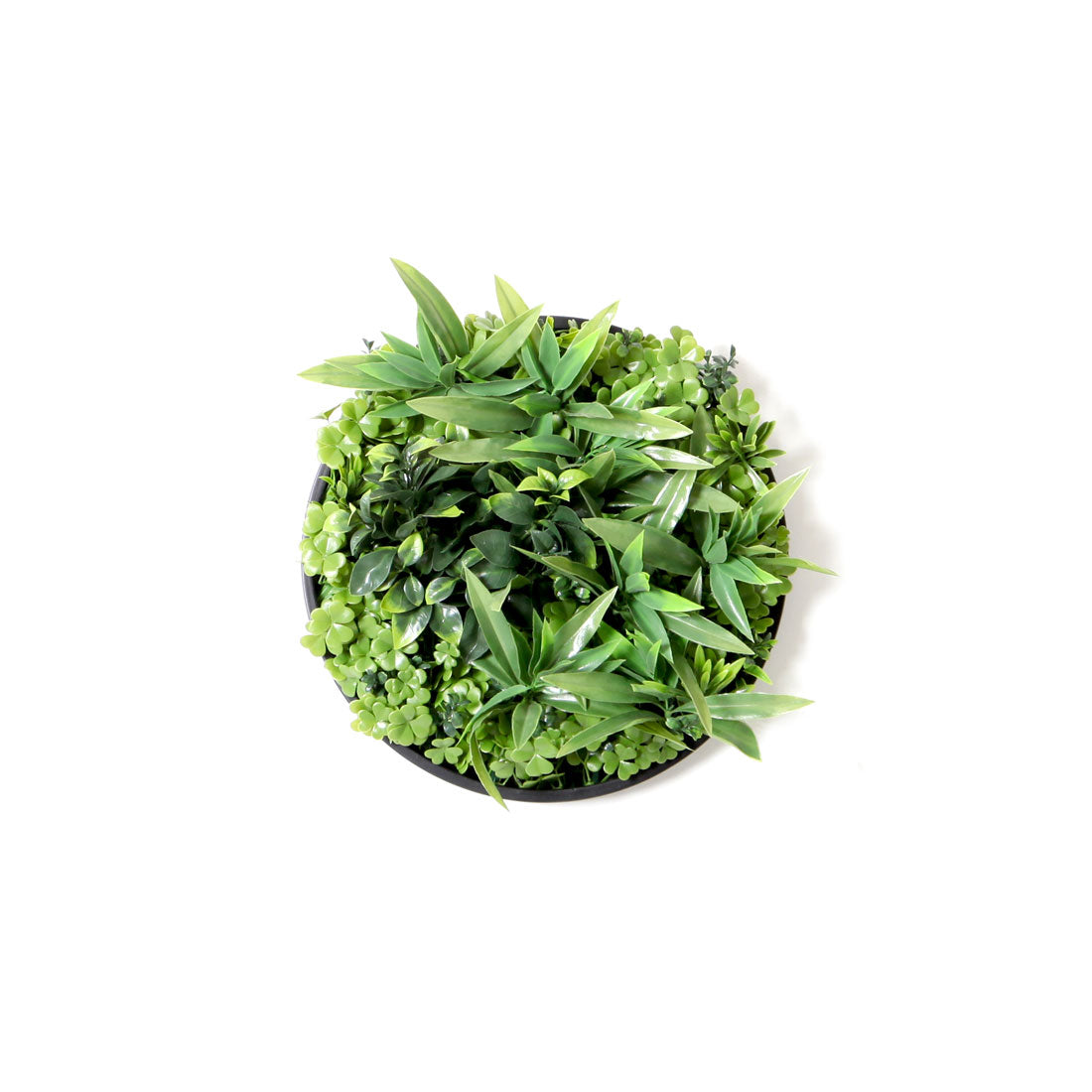 Clover 40cm Vertical Garden