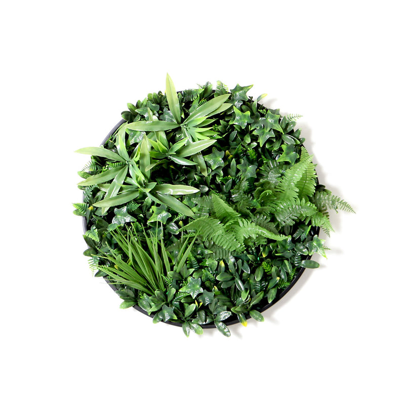 Fern 60cm Vertical Garden