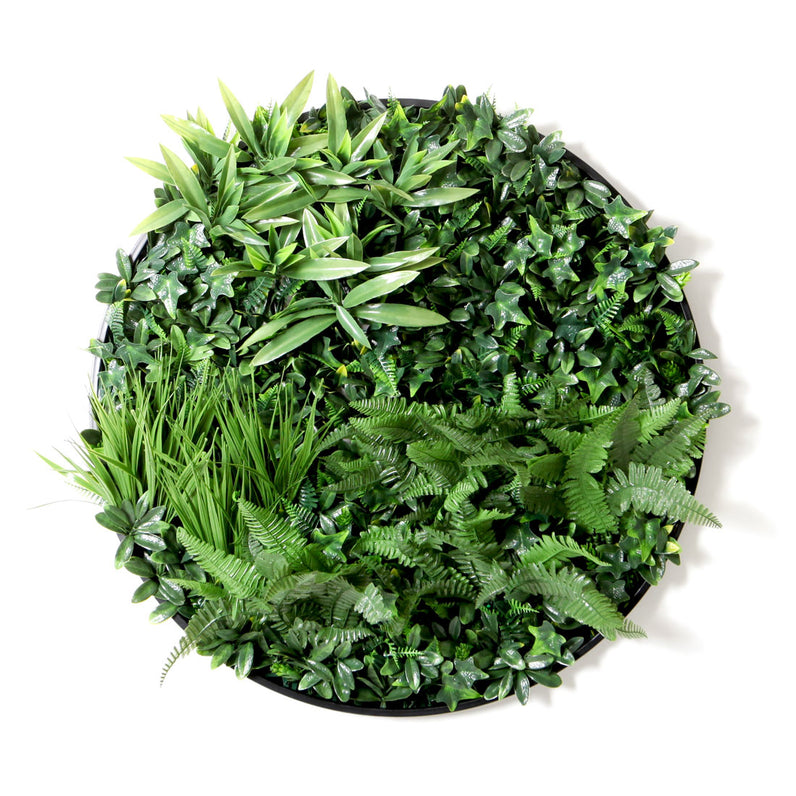 Fern 80cm Vertical Garden