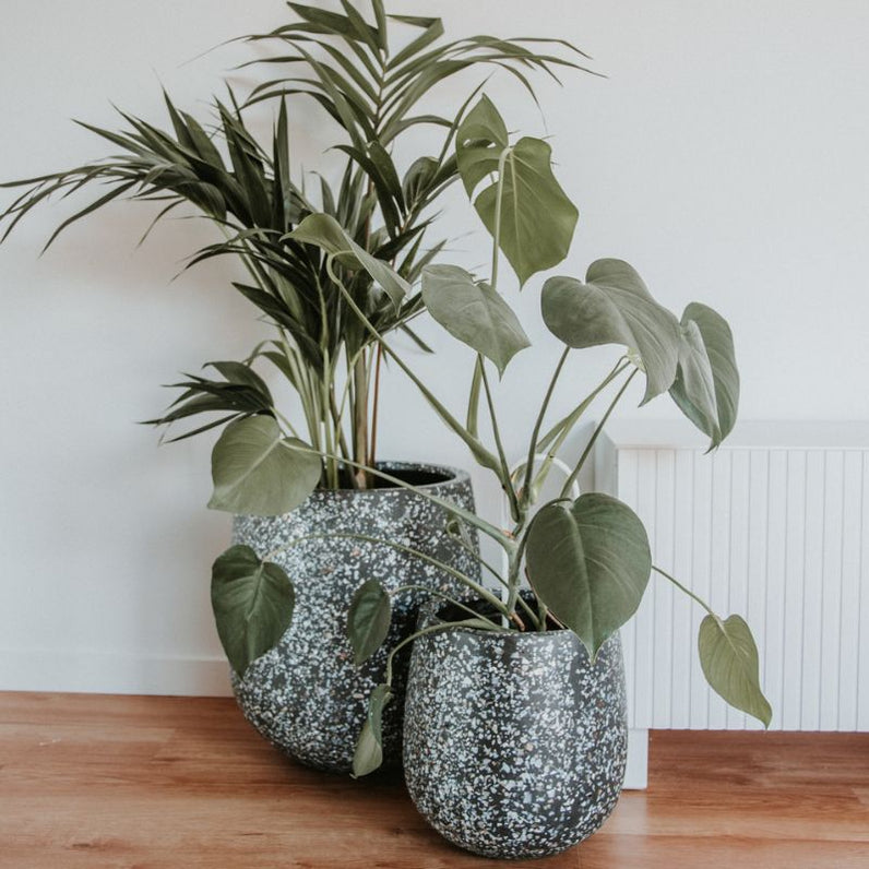 Malibu Plant Pot - Charcoal Seashell