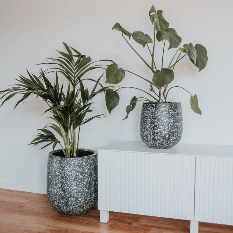 Malibu Plant Pot - Charcoal Seashell
