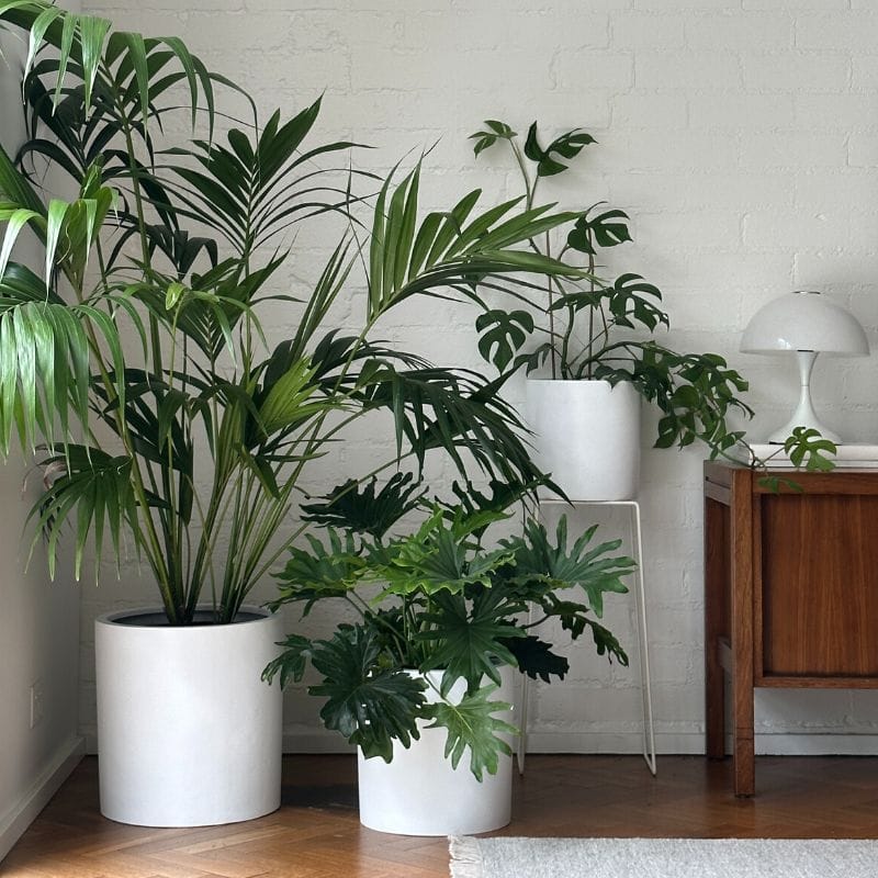 Bondi Plant Pot - White