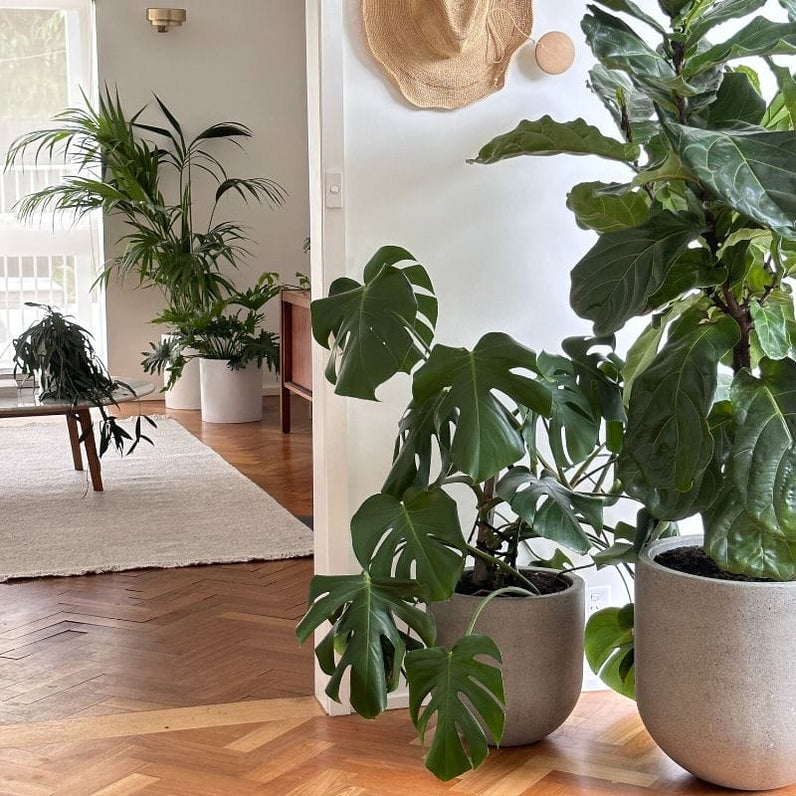 Santorini Plant Pot - Grey Terrazzo