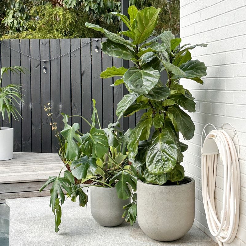 Santorini Plant Pot - Grey Terrazzo