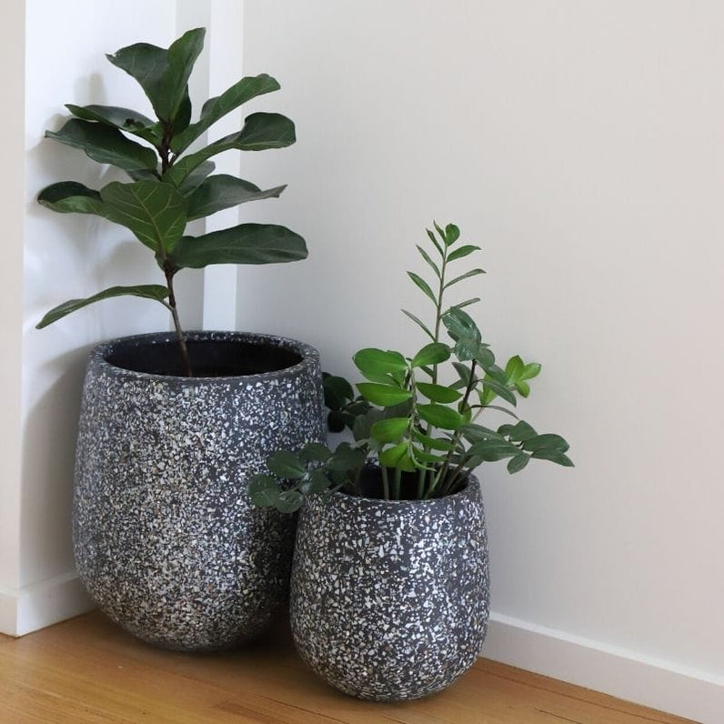 Malibu Plant Pot - Charcoal Seashell