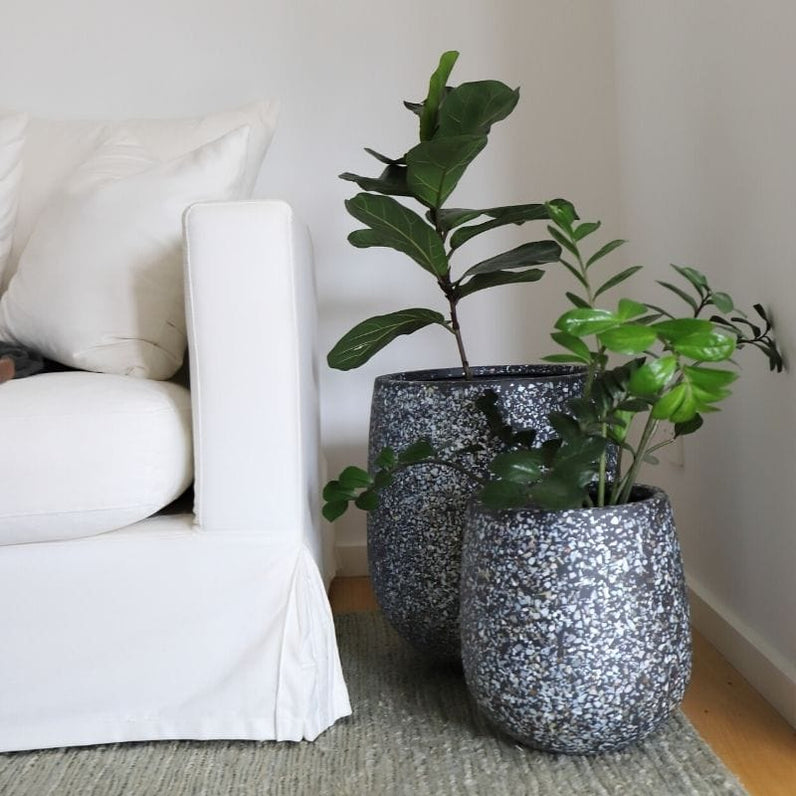 Malibu Plant Pot - Charcoal Seashell