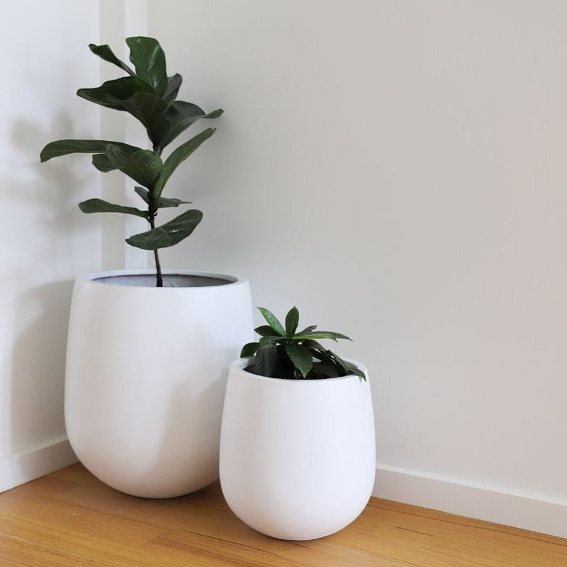 Malibu Plant Pot - White