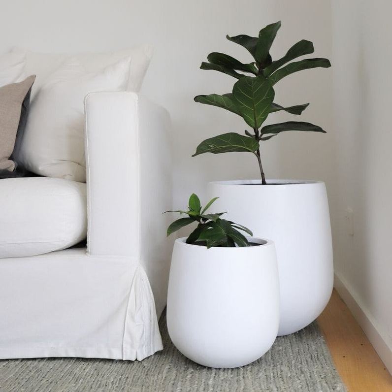Malibu Plant Pot - White