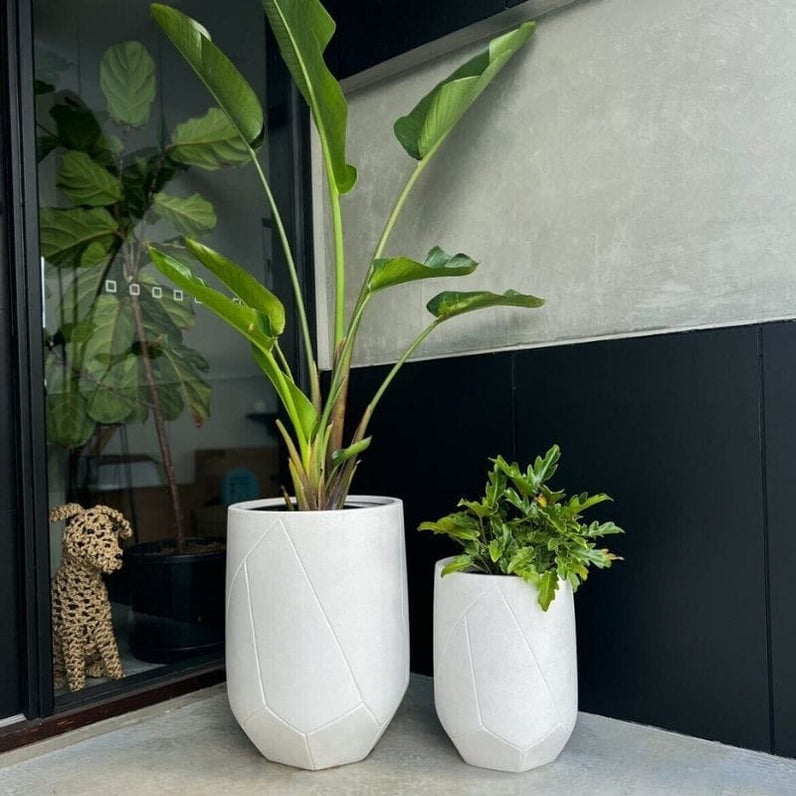 Noosa Plant Pot - White