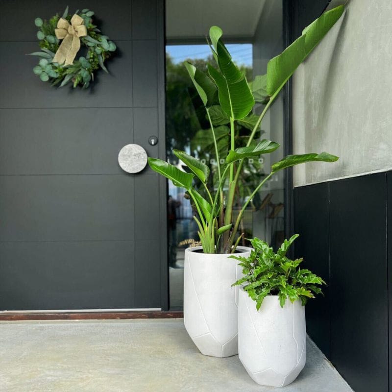 Noosa Plant Pot - White