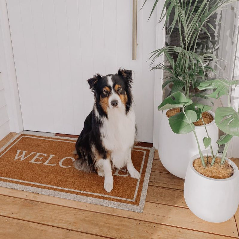 Malibu Plant Pot - White