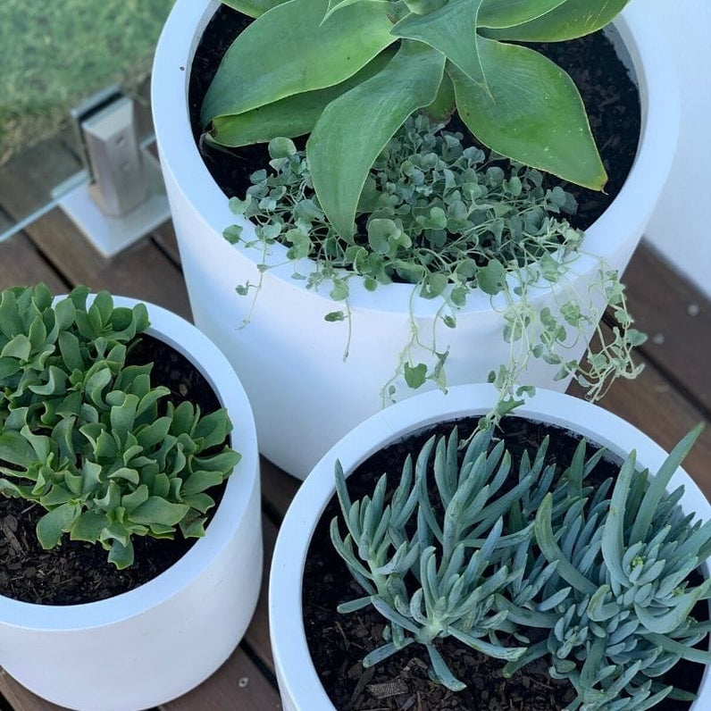 Bondi Plant Pot - White