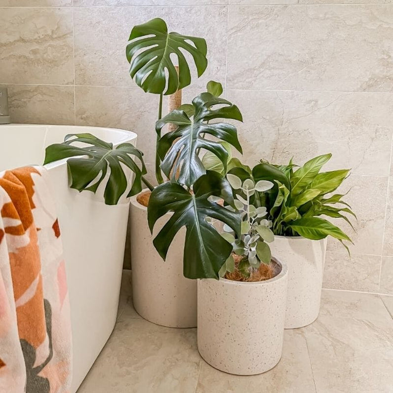 Bondi Plant Pot - White Terrazzo