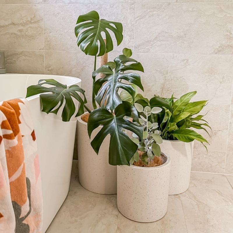 Bondi Plant Pot - White Terrazzo