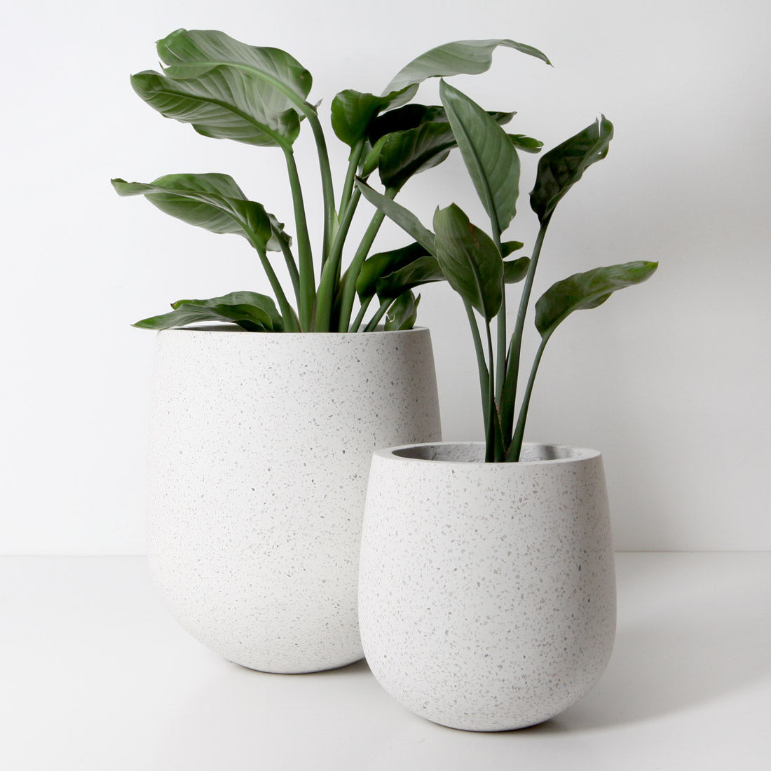 Laguna Plant Pot - White Terrazzo