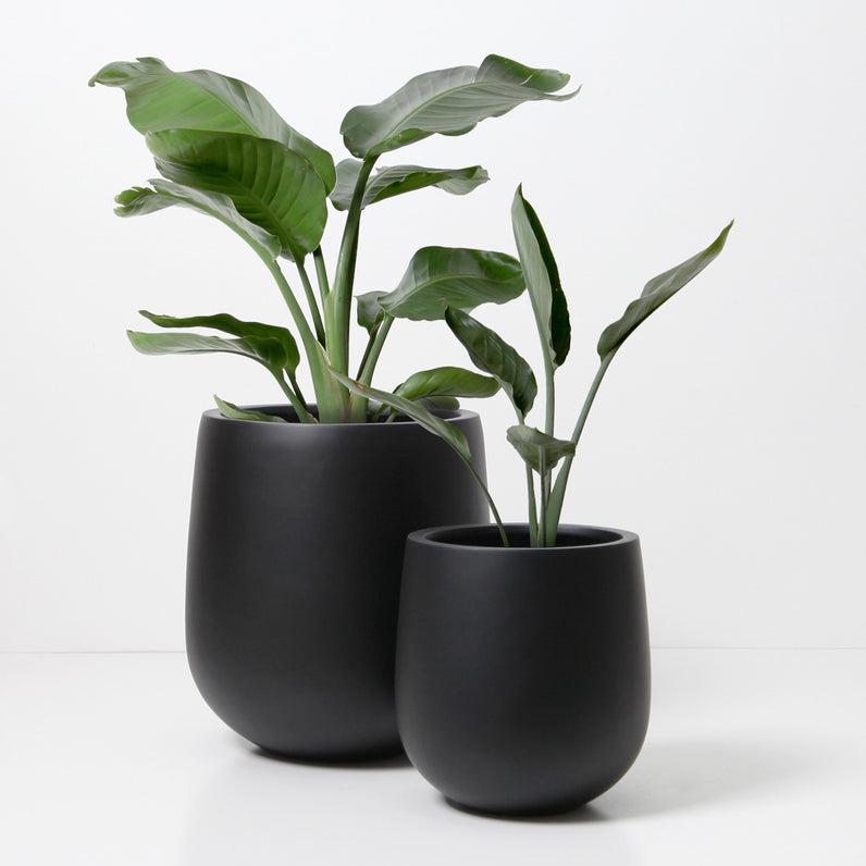 Malibu Plant Pot - Black