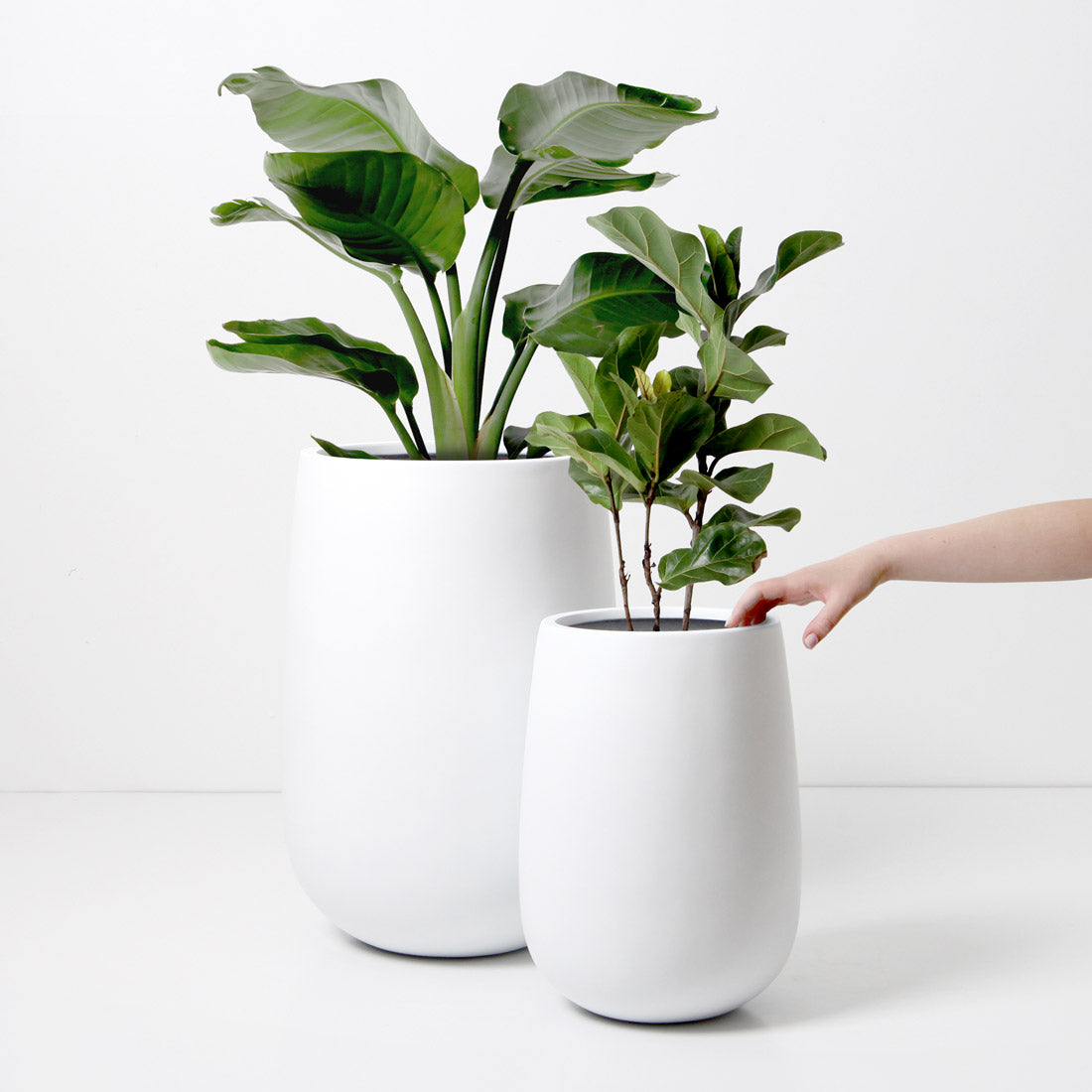 Malibu Tall Plant Pot - White