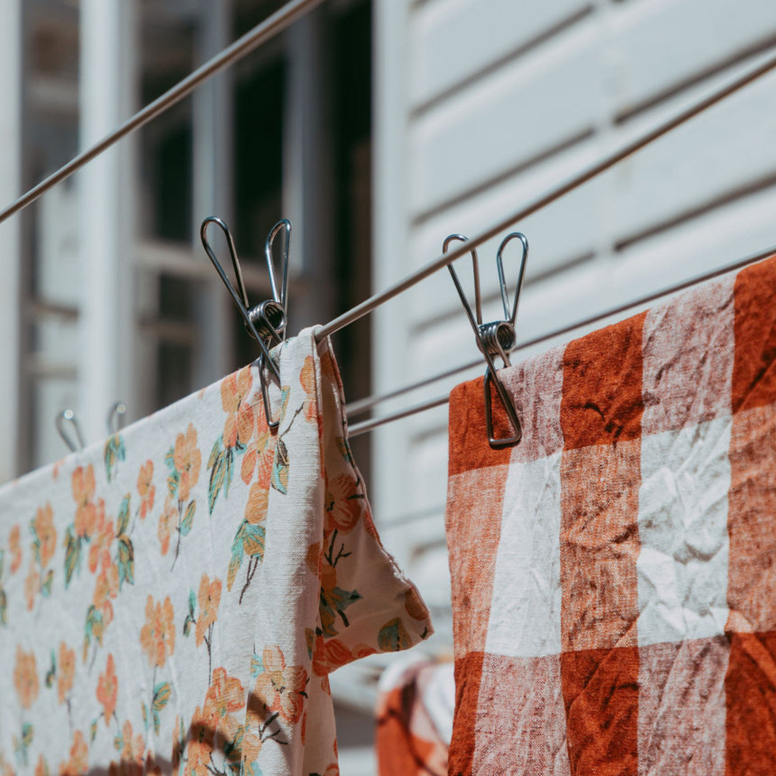 Stainless Steel Eco Pegs - Silver