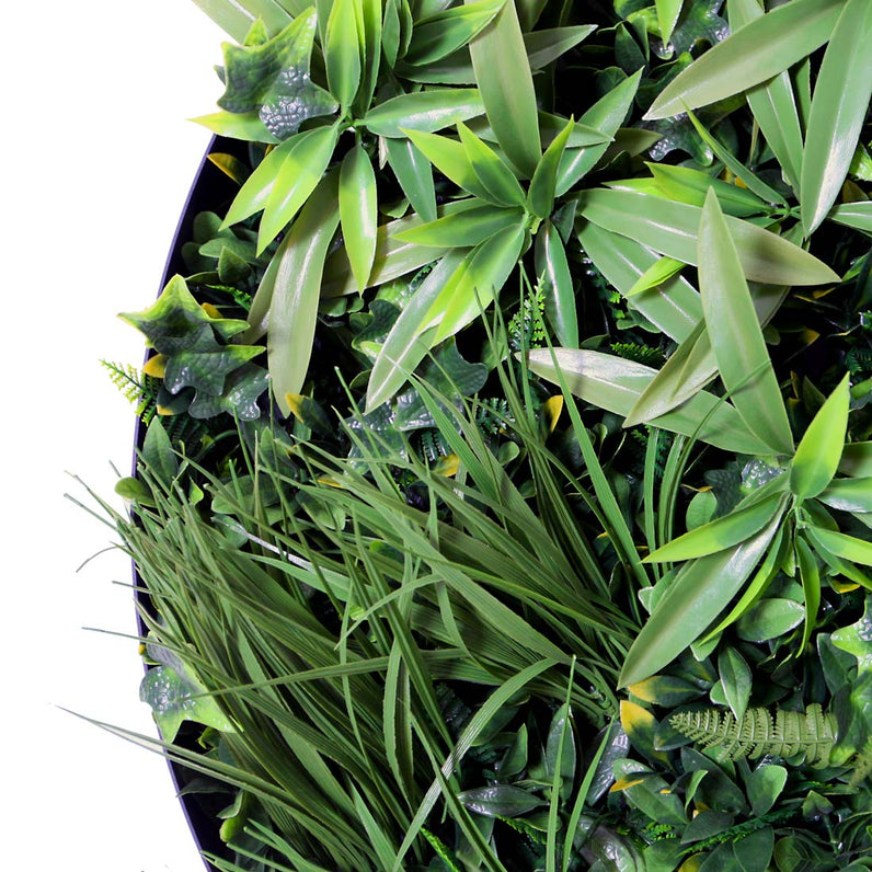 Fern 40cm Vertical Garden