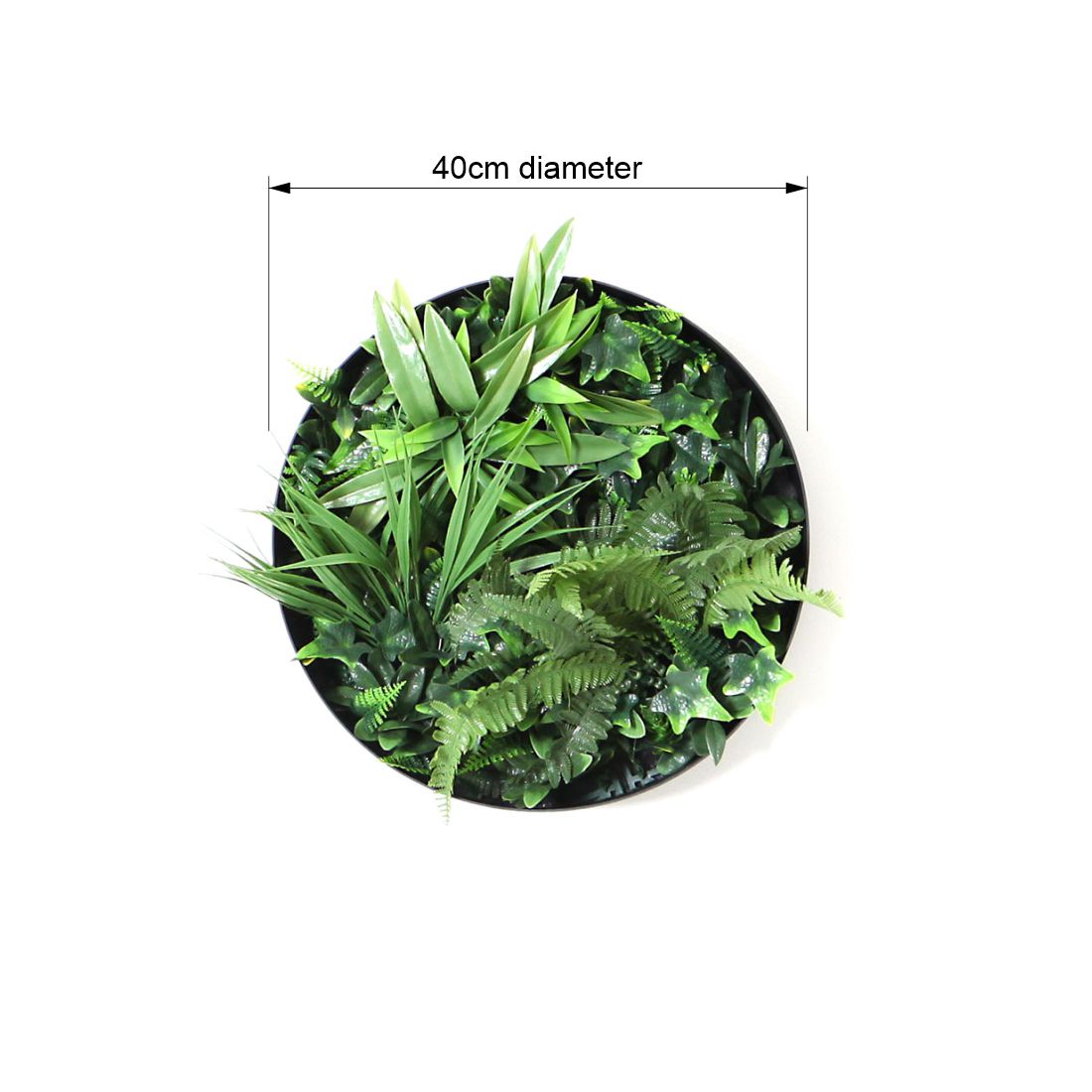 Fern 40cm Vertical Garden