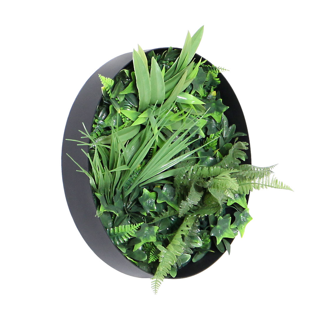 Fern 40cm Vertical Garden