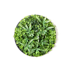 Clover 60cm Vertical Garden