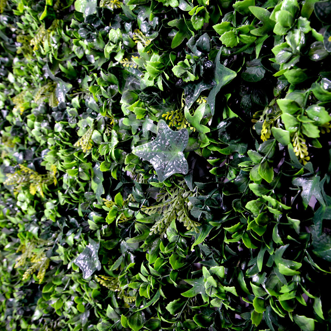 Ivy Hedge 100cm Vertical Garden